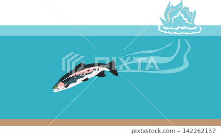 Fishing illustration Fishing illustration 142262137