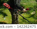 Man is mowing the grass with an electric trimmer in the summer garden. Work in the garden 142262475