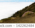 View of the Teide volcano in Tenerife on a valley with clouds 142262484