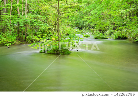 Oirase stream of summer Oirase stream of summer 142262799