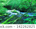 青苔覆蓋的清澈溪流，精進澤泉 142262825