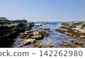 三浦半島擁有清澈美麗的海岸線和嶙峋的岩石海岸。 142262980