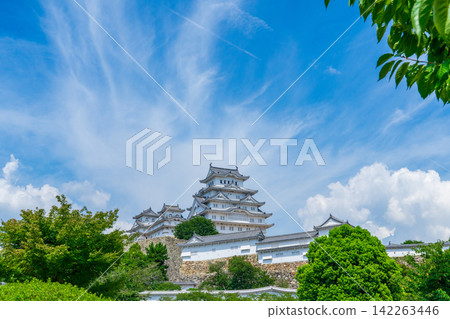 夏季的姬路城,世界文化遺產,兵庫縣姬路市。 夏季的姬路城,世界文化遺產,兵庫縣姬路市。 142263446
