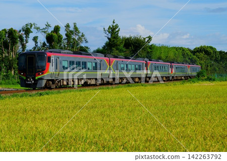 加掛車廂的渦潮特快2700系列列車駛過一片稻田。 加掛車廂的渦潮特快2700系列列車駛過一片稻田。 142263792