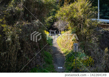 從鳥居和通往下野熊野神社(文後大野市)的路上可以看到神社的景色。 從鳥居和通往下野熊野神社(文後大野市)的路上可以看到神社的景色。 142264149