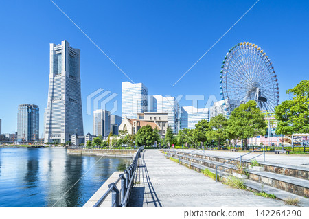 橫濱港未來/運河公園的城市景觀[神奈川縣/橫濱市] 142264290