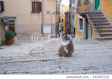 Old Town Labin Historic Streets Croatia 142265132