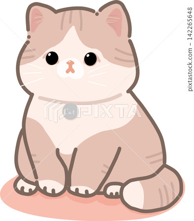 Pink Cat Sitting on Cushion Pink Cat Sitting on Cushion 142265648