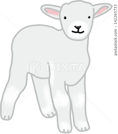 Cute White Little Lamb Cute White Little Lamb 142265733