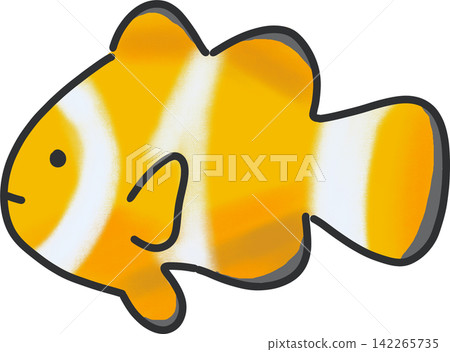 Orange Clownfish Orange Clownfish 142265735