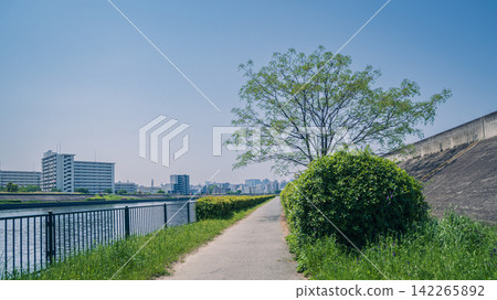 一幅風景畫,描繪了初夏時節,河畔長廊綠意盎然,在藍天的襯托下顯得格外美麗。 一幅風景畫,描繪了初夏時節,河畔長廊綠意盎然,在藍天的襯托下顯得格外美麗。 142265892