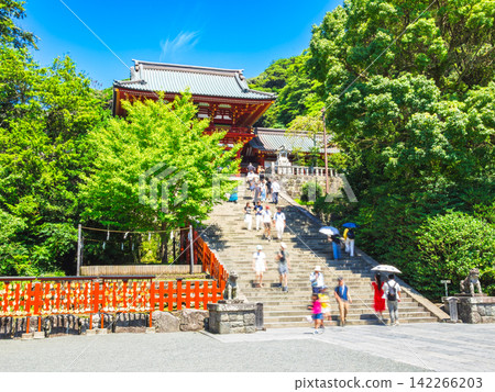 鎌倉之夏:鶴岡八幡宮、大石階與正殿 鎌倉之夏:鶴岡八幡宮、大石階與正殿 142266203