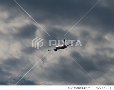 飛機在暮光之城飛行 飛機在暮光之城飛行 142266204