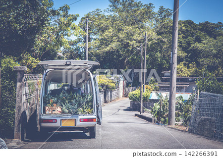 一輛輕型卡車滿載著菠蘿,行駛在沖繩的一個村莊裡——這是展現當地特產的寧靜日常景象。 一輛輕型卡車滿載著菠蘿,行駛在沖繩的一個村莊裡——這是展現當地特產的寧靜日常景象。 142266391