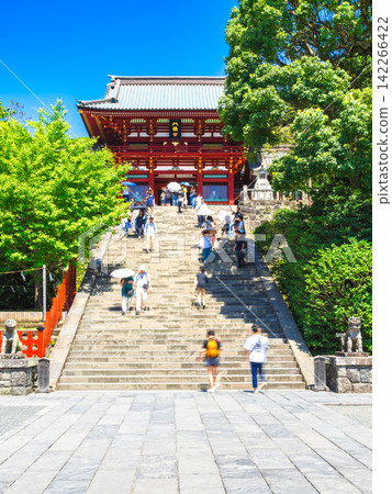 Summer in Kamakura: Tsurugaoka Hachimangu Shrine, the Great Stone Staircase and the Main Shrine Summer in Kamakura: Tsurugaoka Hachimangu Shrine, the Great Stone Staircase and the Main Shrine 142266422