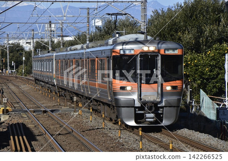 313系列車,東海道本線 313系列車,東海道本線 142266525