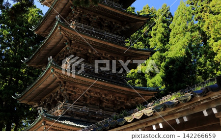 綠樹環繞的五層寶塔 綠樹環繞的五層寶塔 142266659