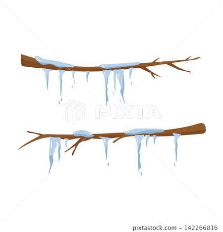 Two tree branches with melting icicles and snow winter nature element isolated on white Two tree branches with melting icicles and snow winter nature element isolated on white 142266816