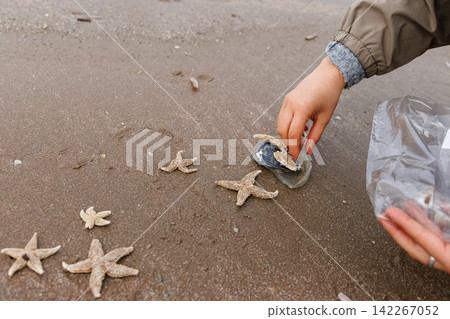 Person removing broken glass from North Sea beach beside common starfish Person removing broken glass from North Sea beach beside common starfish 142267052