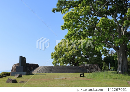 Kanagawa Prefecture, Ninomiya Town, Azumayama Park Kanagawa Prefecture, Ninomiya Town, Azumayama Park 142267061
