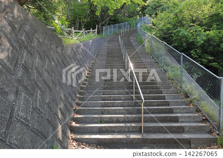 神奈川縣二宮町東山公園 神奈川縣二宮町東山公園 142267065