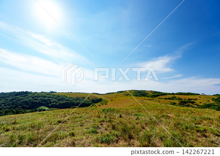 A vast grassland under a blue sky A vast grassland under a blue sky 142267221