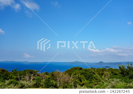 一個熱帶風格的海濱公園,擁有藍天和棕櫚樹。 一個熱帶風格的海濱公園,擁有藍天和棕櫚樹。 142267245