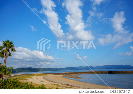 一個熱帶風格的海濱公園，擁有藍天和棕櫚樹。 142267247