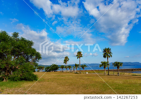 一個熱帶風格的海濱公園,擁有藍天和棕櫚樹。 一個熱帶風格的海濱公園,擁有藍天和棕櫚樹。 142267253