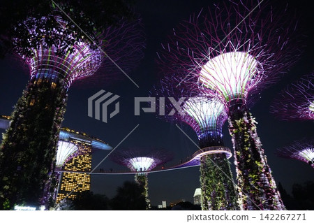 Gardens by the Bay Singapore Supertrees at Night Gardens by the Bay Singapore Supertrees at Night 142267271