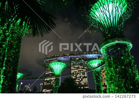 Gardens by the Bay Singapore Night Photography Gardens by the Bay Singapore Night Photography 142267273