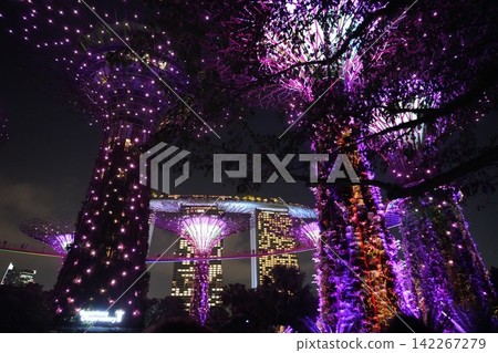 Gardens by the Bay Singapore at Night Magical Lights Gardens by the Bay Singapore at Night Magical Lights 142267279