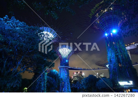 Gardens by the Bay Singapore Supertrees at Night 142267280