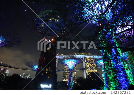 Gardens by the Bay Singapore Night Photography Gardens by the Bay Singapore Night Photography 142267281