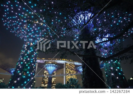 Gardens by the Bay Singapore at Night Spectacular Gardens by the Bay Singapore at Night Spectacular 142267284