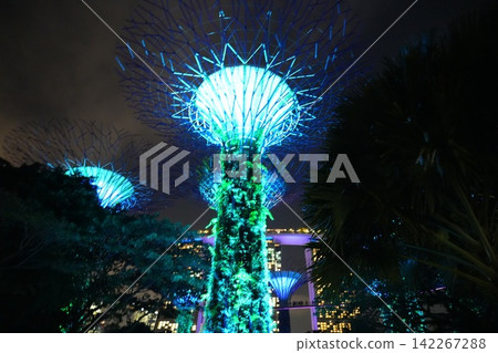 Gardens by the Bay Supertrees Singapore at Night 142267288