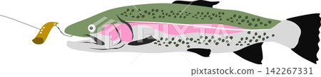 Fishing illustration Fishing illustration 142267331