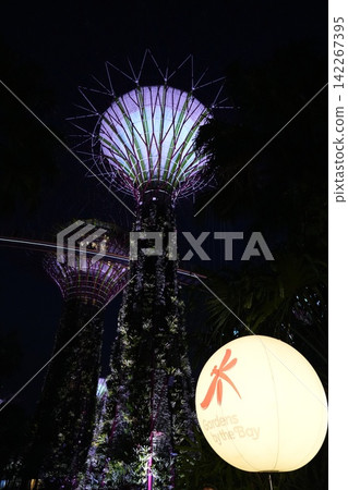 Gardens by the Bay Supertrees at Night Singapore Travel Gardens by the Bay Supertrees at Night Singapore Travel 142267395