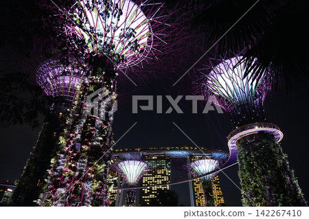 Gardens by the Bay Singapore Supertrees at Night Gardens by the Bay Singapore Supertrees at Night 142267410