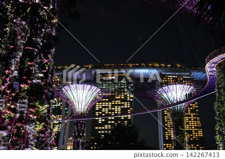 Gardens by the Bay Singapore at Night Supertrees Gardens by the Bay Singapore at Night Supertrees 142267413