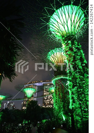 Gardens by the Bay Singapore at Night Stunning Green Trees Gardens by the Bay Singapore at Night Stunning Green Trees 142267414