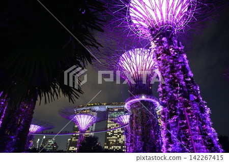 Gardens by the Bay Singapore Nightscape Gardens by the Bay Singapore Nightscape 142267415