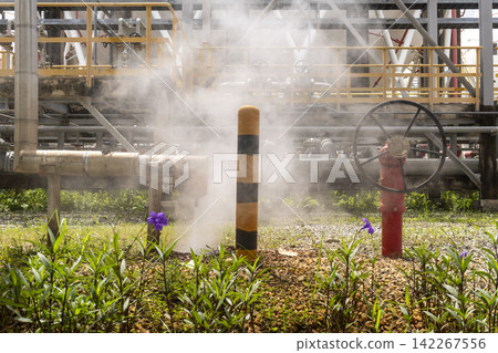 White steam venting from industrial pipelines at a petrochemical plant while purple wildflowers and green vegetation grow in the foreground alongside a red fire hydrant and yellow black bollard White steam venting from industrial pipelines at a petrochemical plant while purple wildflowers and green vegetation grow in the foreground alongside a red fire hydrant and yellow black bollard 142267556
