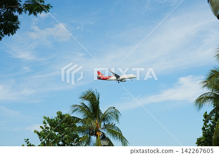 Airplane Flying Over Palm Trees Clear Blue Sky Day Airplane Flying Over Palm Trees Clear Blue Sky Day 142267605