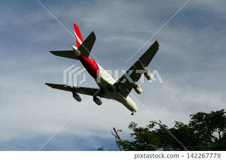 Qantas Airbus A380 Flying Over Trees and Cloudy Sky Qantas Airbus A380 Flying Over Trees and Cloudy Sky 142267779