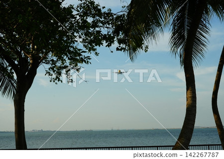 Tropical Beach Scene with Airplane and Coconut Palm Trees Tropical Beach Scene with Airplane and Coconut Palm Trees 142267787