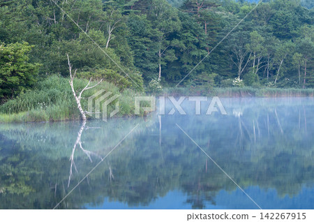 夏季的巴拉吉湖,晨霧繚繞,湖面如鏡,倒映著翠綠的樹木。 夏季的巴拉吉湖,晨霧繚繞,湖面如鏡,倒映著翠綠的樹木。 142267915