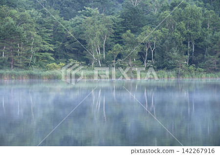 夏季的巴拉吉湖,晨霧繚繞,湖面如鏡,倒映著翠綠的樹木。 夏季的巴拉吉湖,晨霧繚繞,湖面如鏡,倒映著翠綠的樹木。 142267916