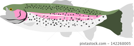 虹鱒魚圖 虹鱒魚圖 142268005