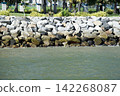 A stone wall built to protect against sea waves. 142268087